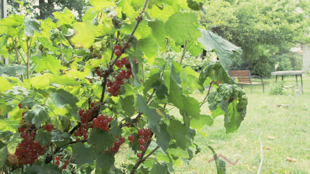 Rodinný dom na predaj – Nižná Hutka (Košice - okolie)