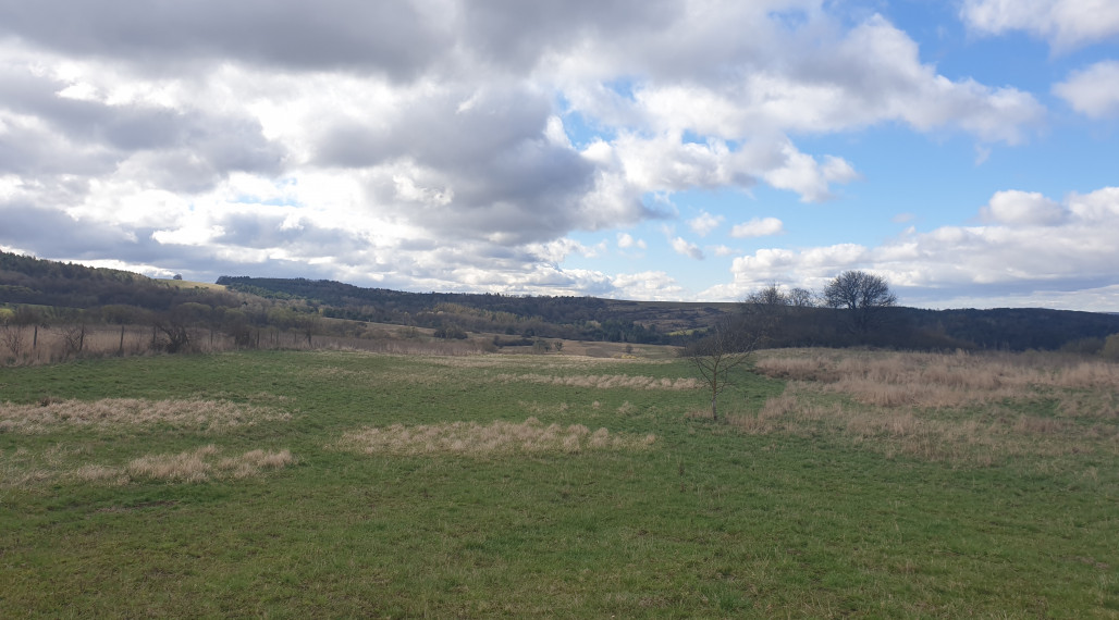 Pozemok určený na výstavbu domov - Ortáše